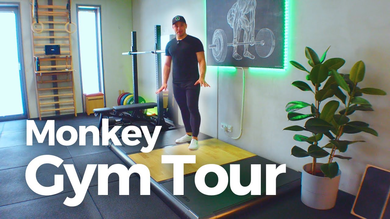 Das neue Moving Monkey Gym (im EVO Land)