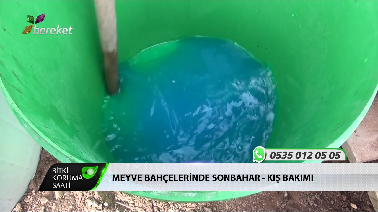 Bitki Koruma Saati - Soru Cevap