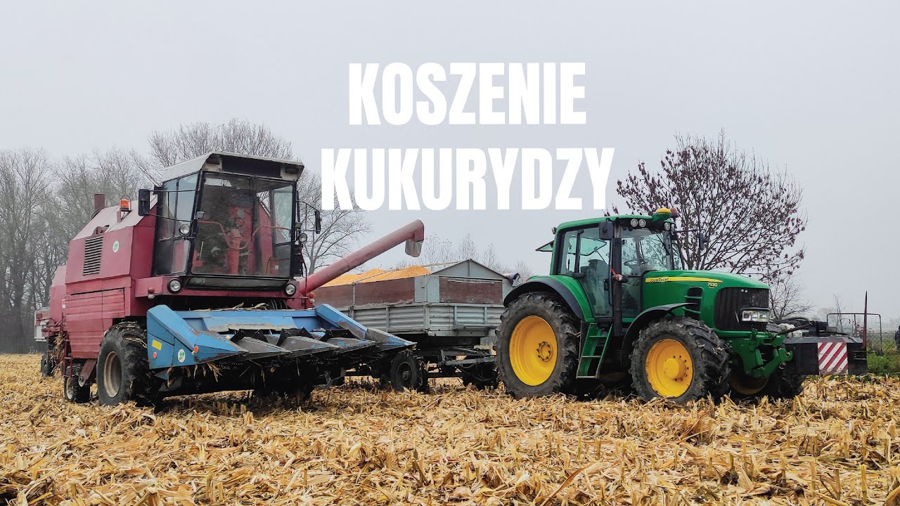 Koszenie kukurydzy | BIZON REKORD Z058 | JOHN DEERE 7530, 6620 | AUTOSAN D55 | *Podkarpacie*