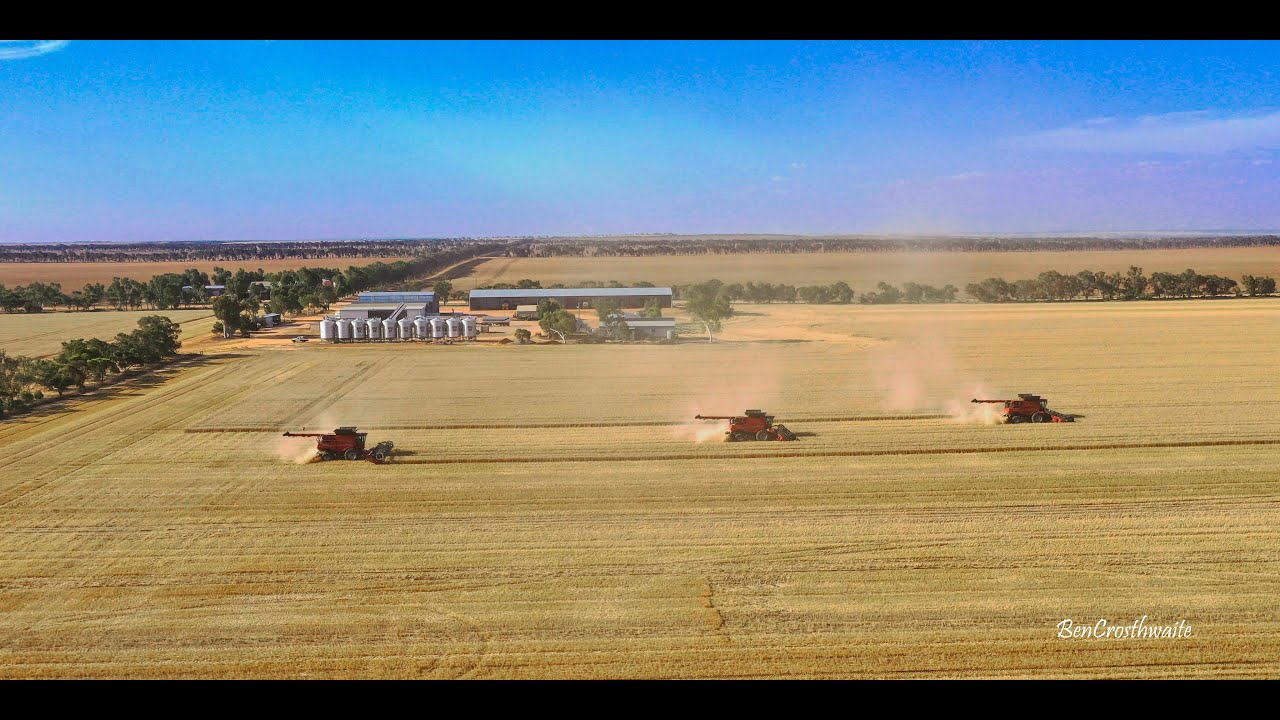 Spring Park Farms trying out two 40' MacDon combs.