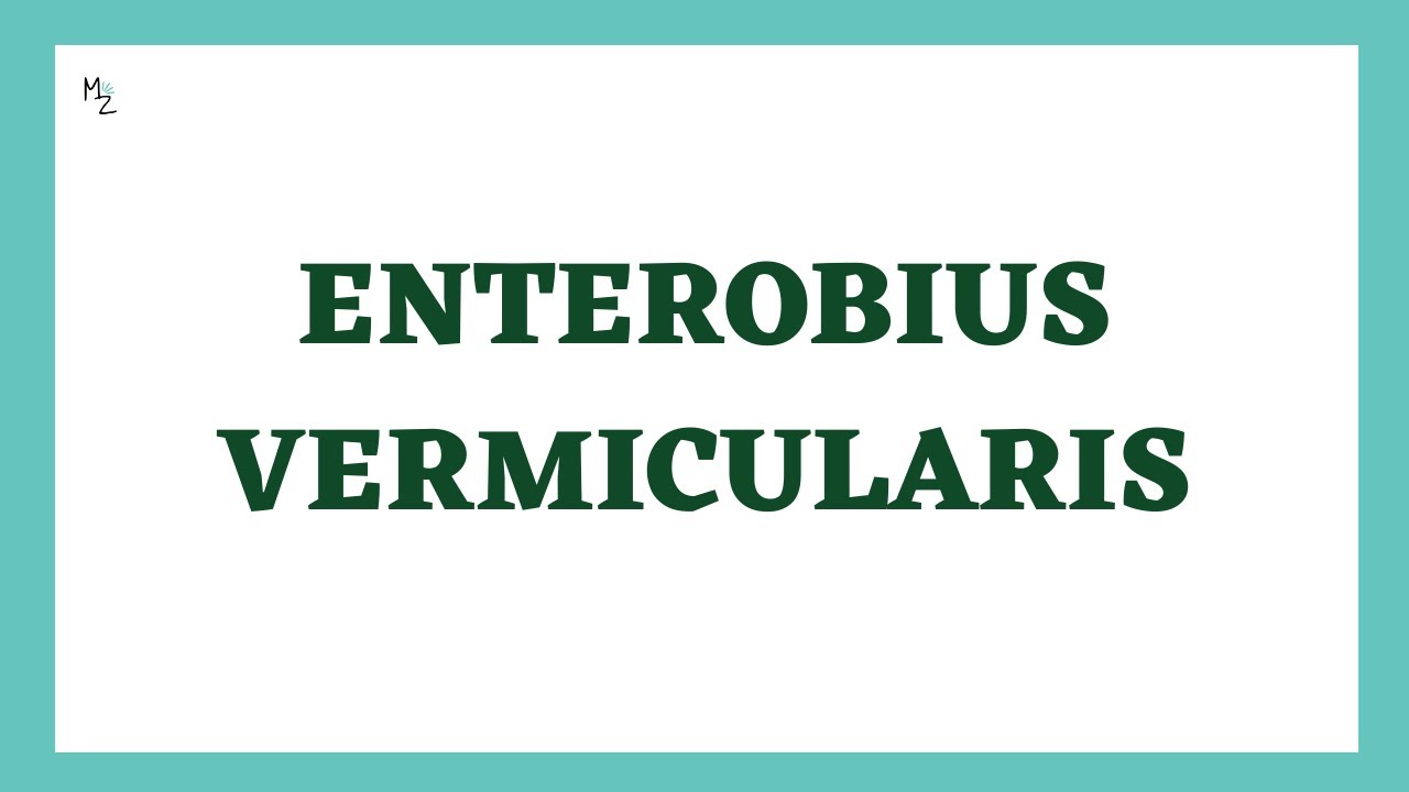 Enterobius Vermicularis | Pin Worms | Enterobiasis | Nematodes | Parasitology