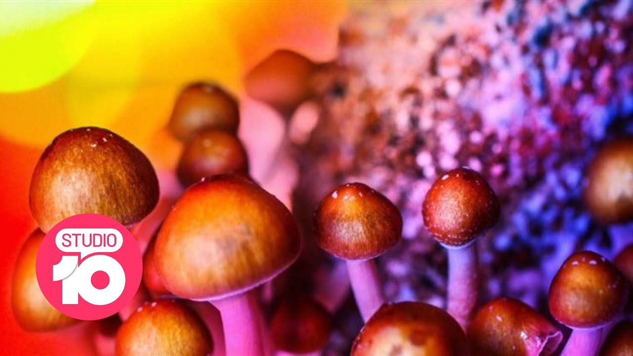 Psychedelic Therapy For Mental Health | Studio 10