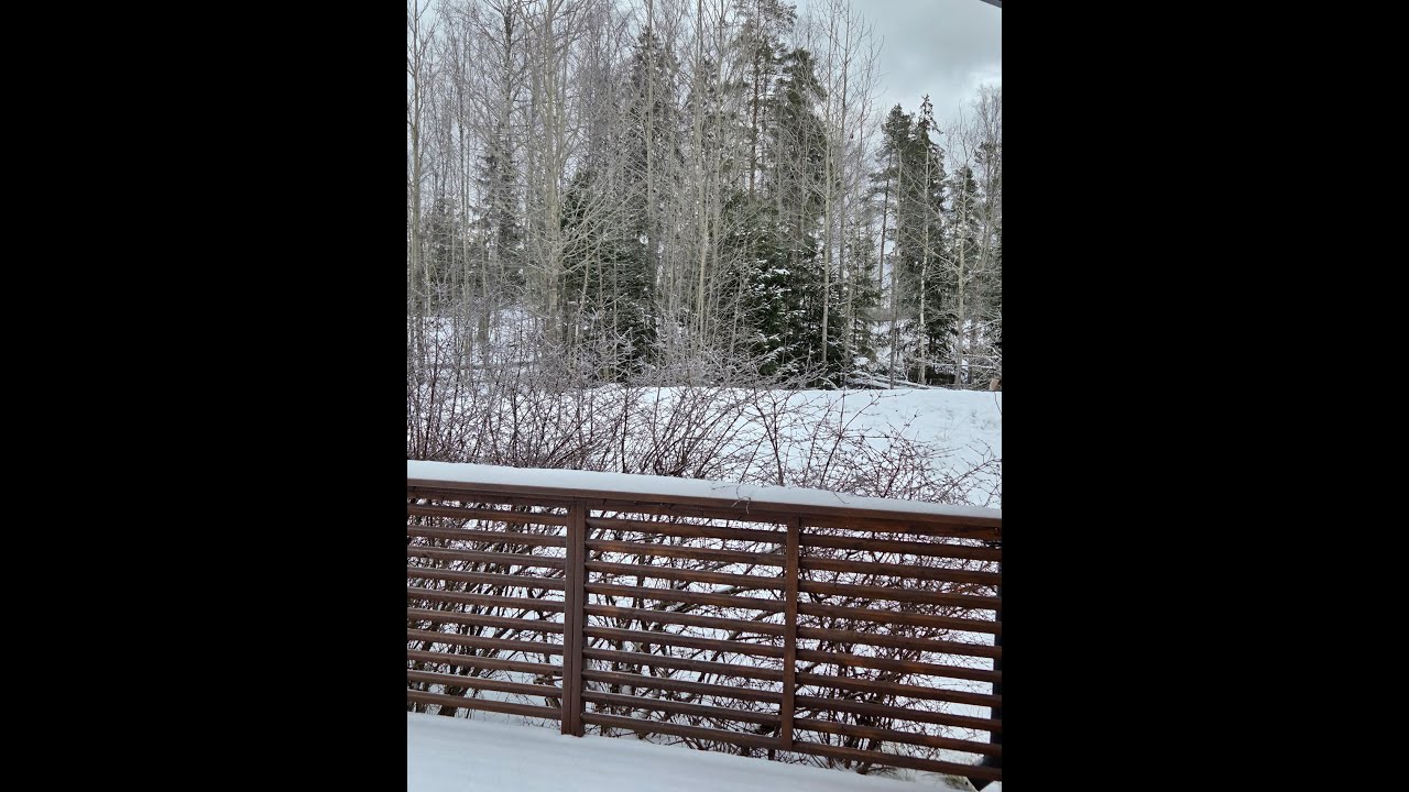 Silent Vlog | Calm Moments of Everyday Life in Finland(Cleaning & Self Care)