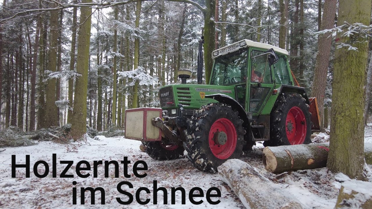 Holzernte im Schnee | Stihl MS 362 | Fendt Farmer 308 LSA | 4K