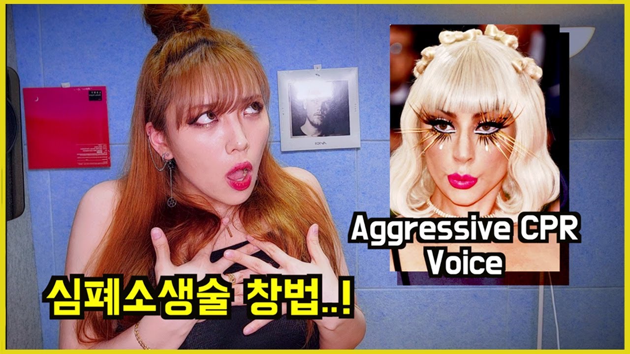 레이디 가가 따라잡기 (feat. 아리아나 그란데) | Lady Gaga Impression (feat. Ariana)