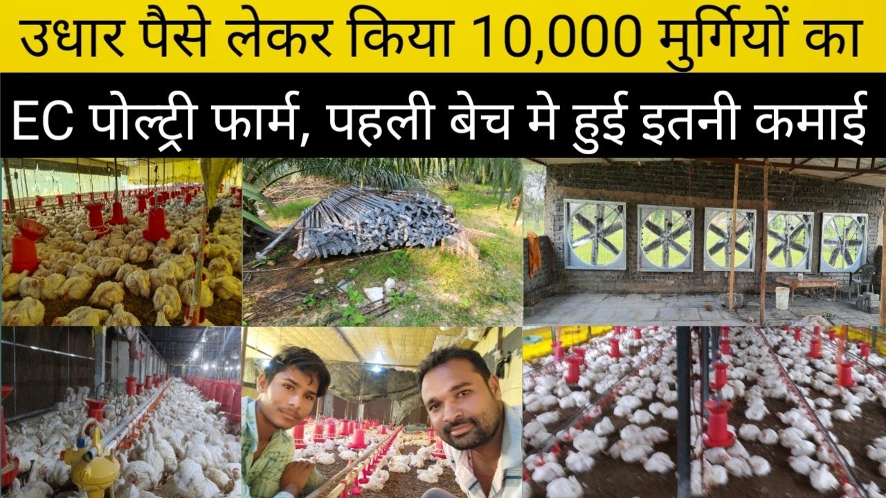 उधार पैसे लेकर किया 10,000 मुर्गियों के लिए EC Poultry Farm, पहली बेच मे हुई इतनी कमाई, देखे वीडियो