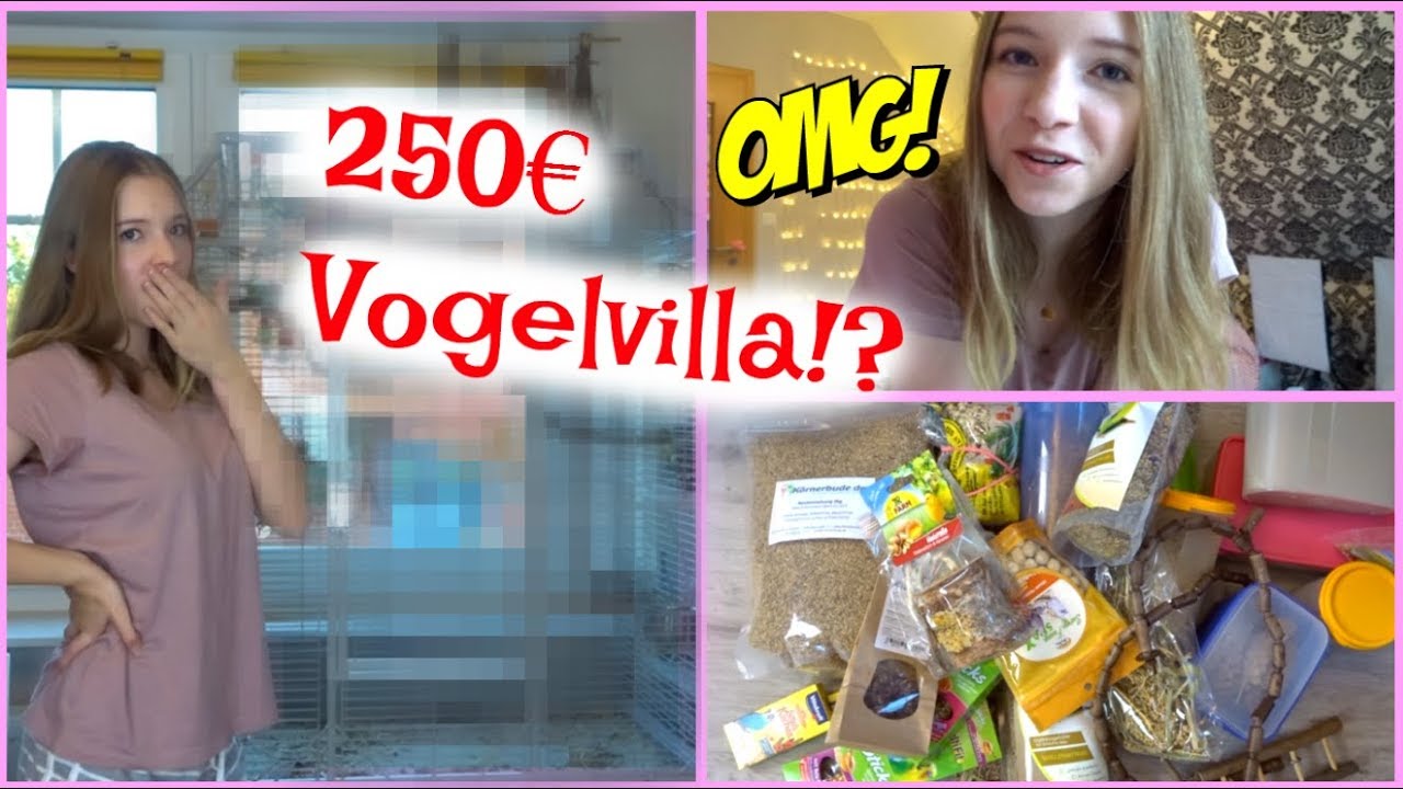 250€ VOGELVILLA!? Käfigupdate,  Wellensittichspielzeug & Futter Vlog 24
