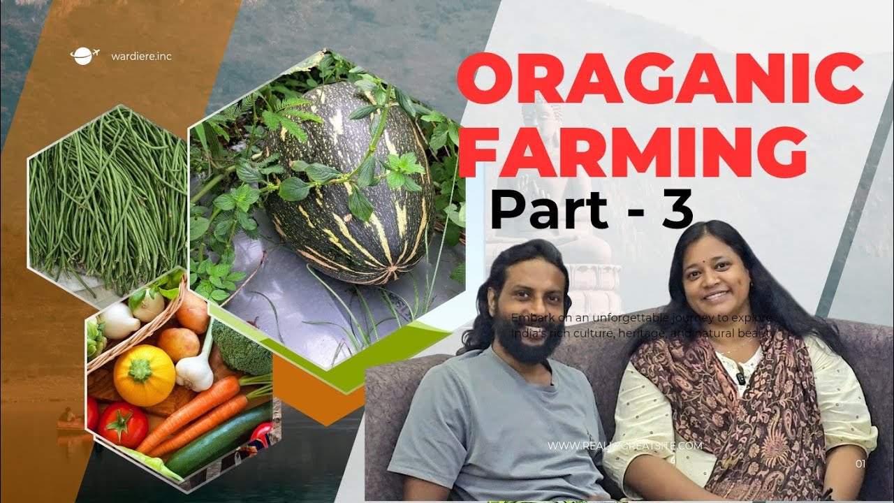 Organic farming - part 3 ജൈവ വള കൃഷി കൂടുതൽ അറിയാൻ...( last part..