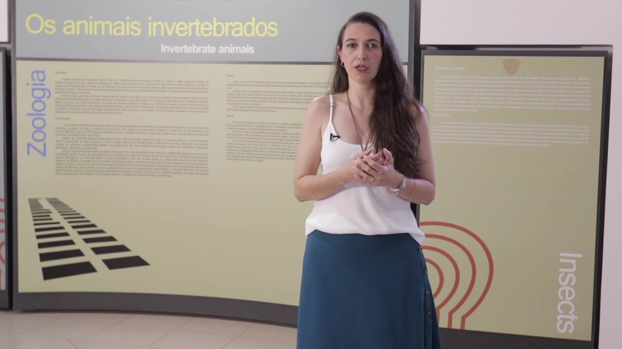 Animais invertebrados (Episódio 4)