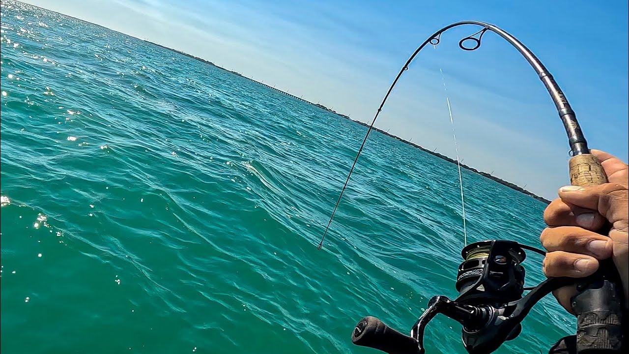 Florida Keys Fishing | Exploring Ledges Off The Beach For All Kinds Of Fish!