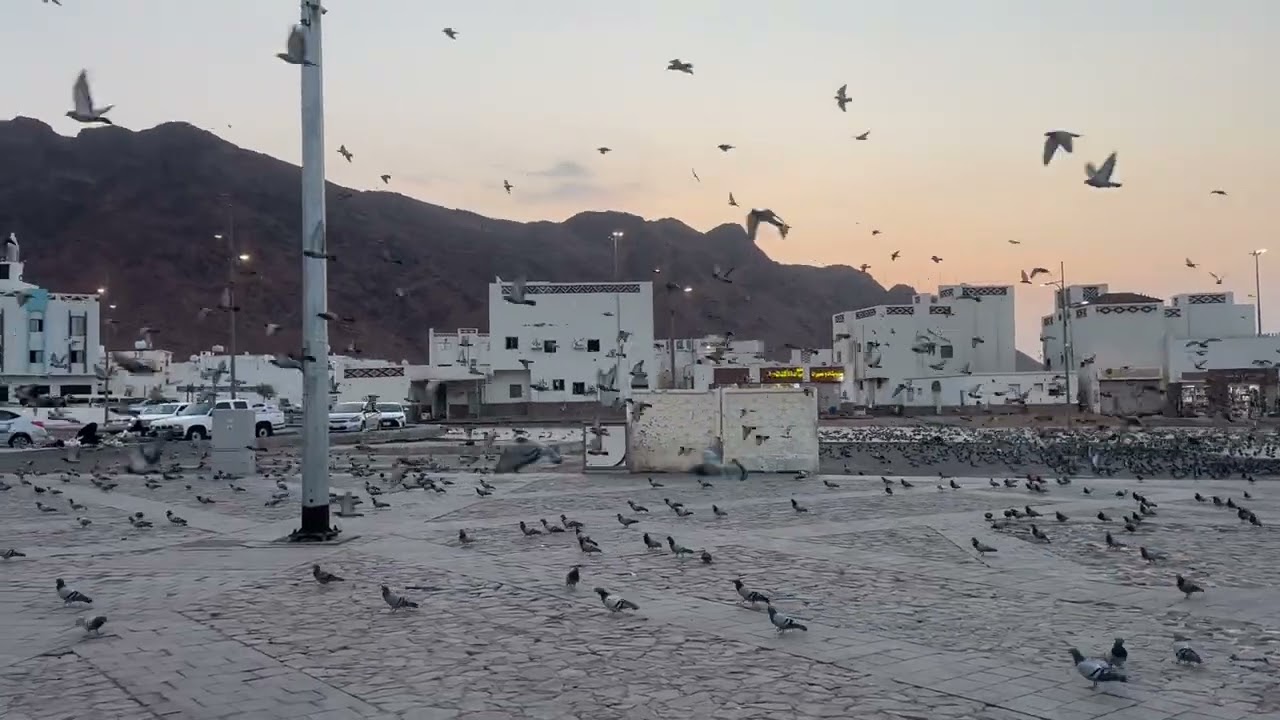 Beauty of Medina ❣️