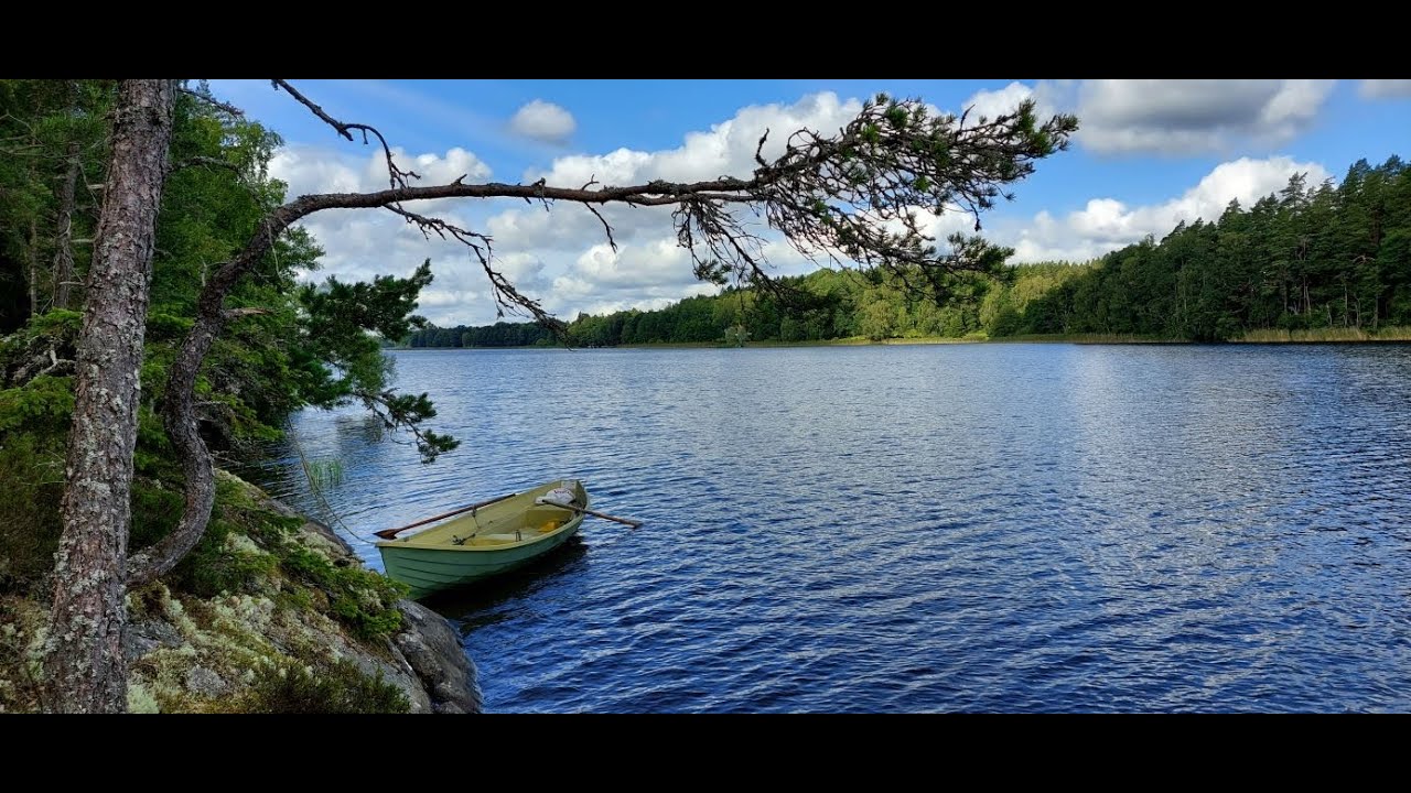 Pike and perch fishing Norrtälje