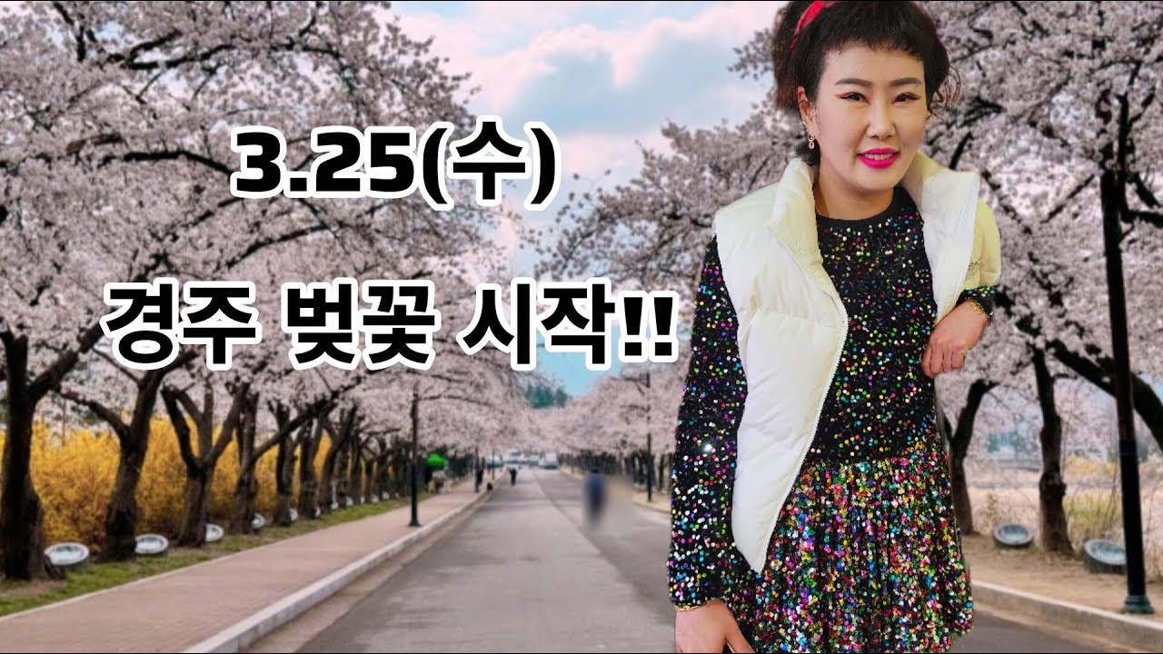 경주 벚꽃 마라톤 스타트?🧨1일차🚩#경주#벚꽃#나공주#현역가왕#트롯#각설이#난타#공연#축제장#전국#삼겹살#먹방#품바#음악#라이브#할머니