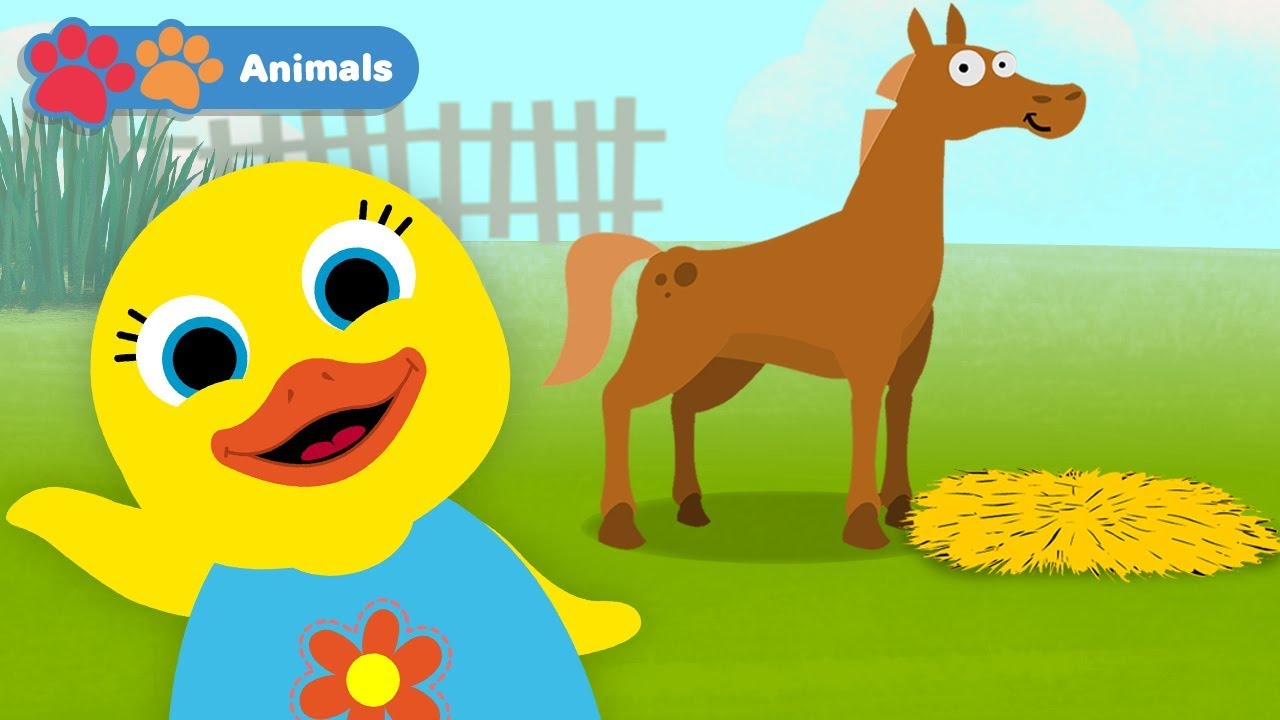 Kids Learn Animals with Tillie Knock Knock | Educational Early Learning Videos for Child Development