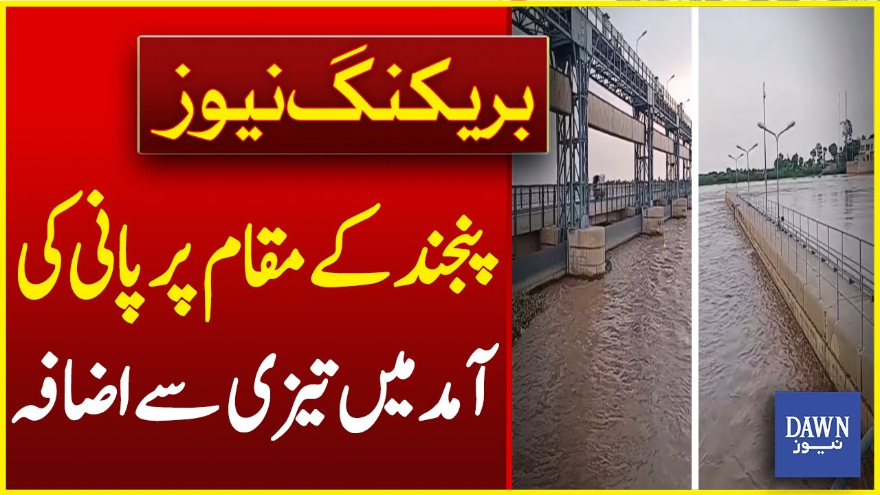 Rapid Rise In Water Levels At Panjnad | Breaking News | Dawn News