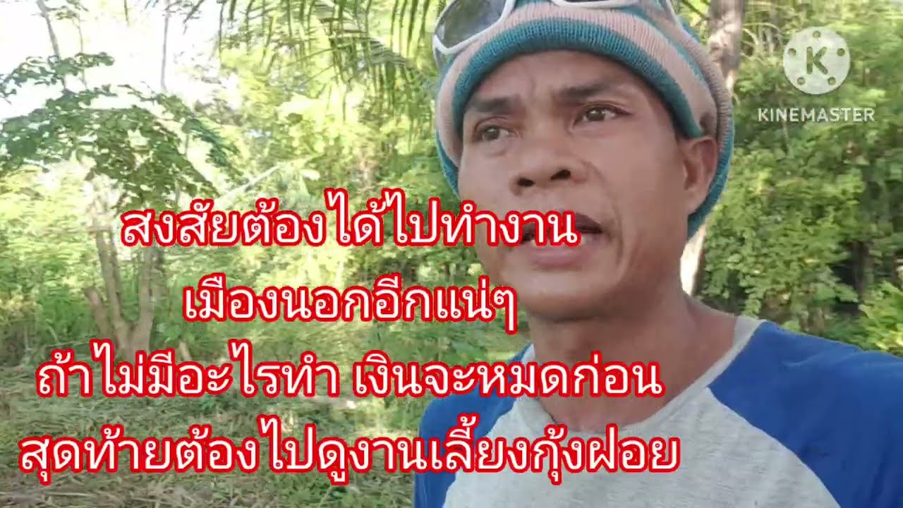 สงสัยต้องได้ไปทำงานเมืองนอกอีกแน่ๆ ถ้าไม่มีอะไรทำ กลับจากเกาหลีมา5เดือน บอมีรายได้