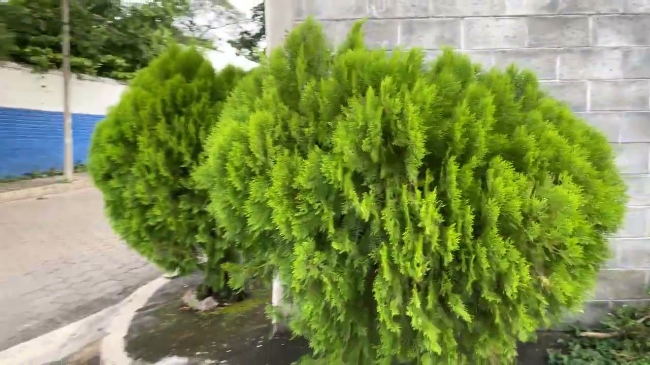 Video Caminando por la Ciudad de San Alejo, La Unión, El Salvador C.A