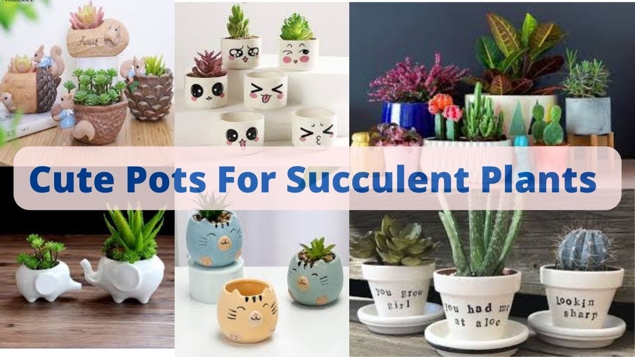 Unique succulent pots, Decorative Pots for succulents, Cute Succulent Pots,Creative Succulent Pots