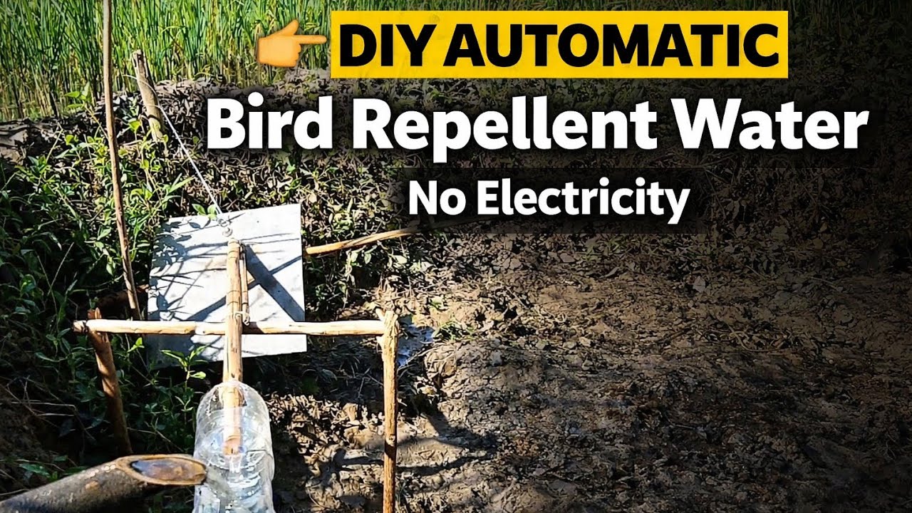 AUTOMATIC Bird Repellent EFFECTIVE