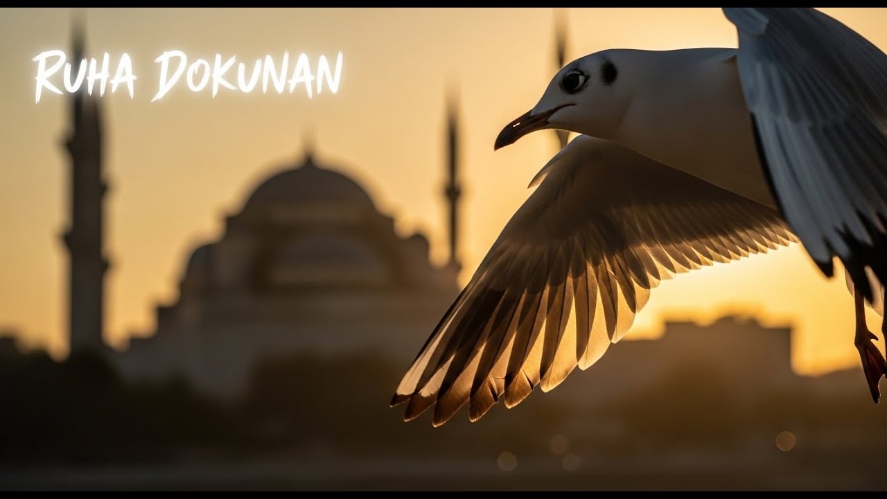 (7/24 ONLİNE) Farklı Enstrümantal Fon Müzikleri • Sakinleştirici Duygusal Ritim ♫