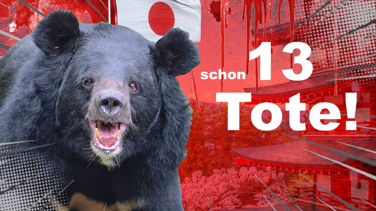 Nationaler Notstand! Japans Problem mit Bärangriffen