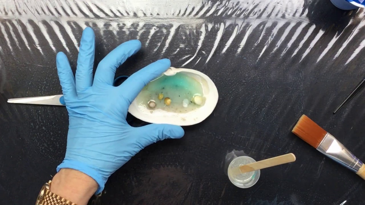 ( 698 ) Resin sea in a shell shell