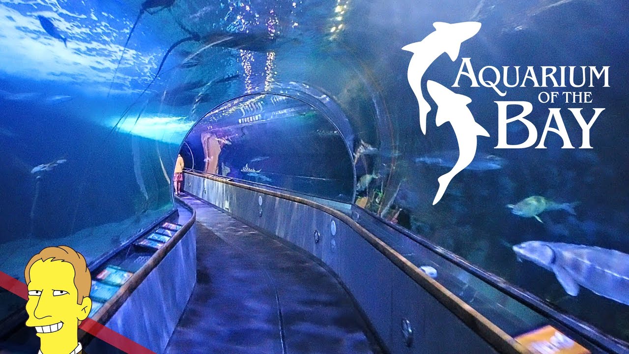 Aquarium of the Bay | Pier 39 San Francisco