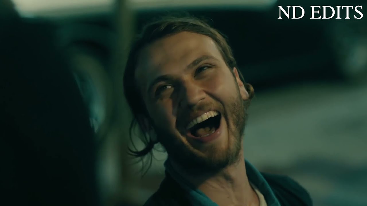 Turkish Multifandom (humor) | Shake It Off
