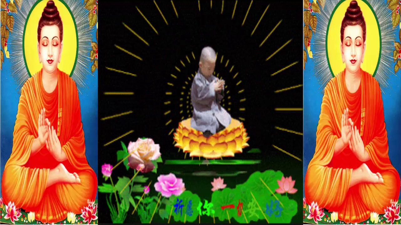 Tụng Kinh Phật Gi&aacute;o Hay Nhất - Nghe để cuộc sống tốt đẹp hơn