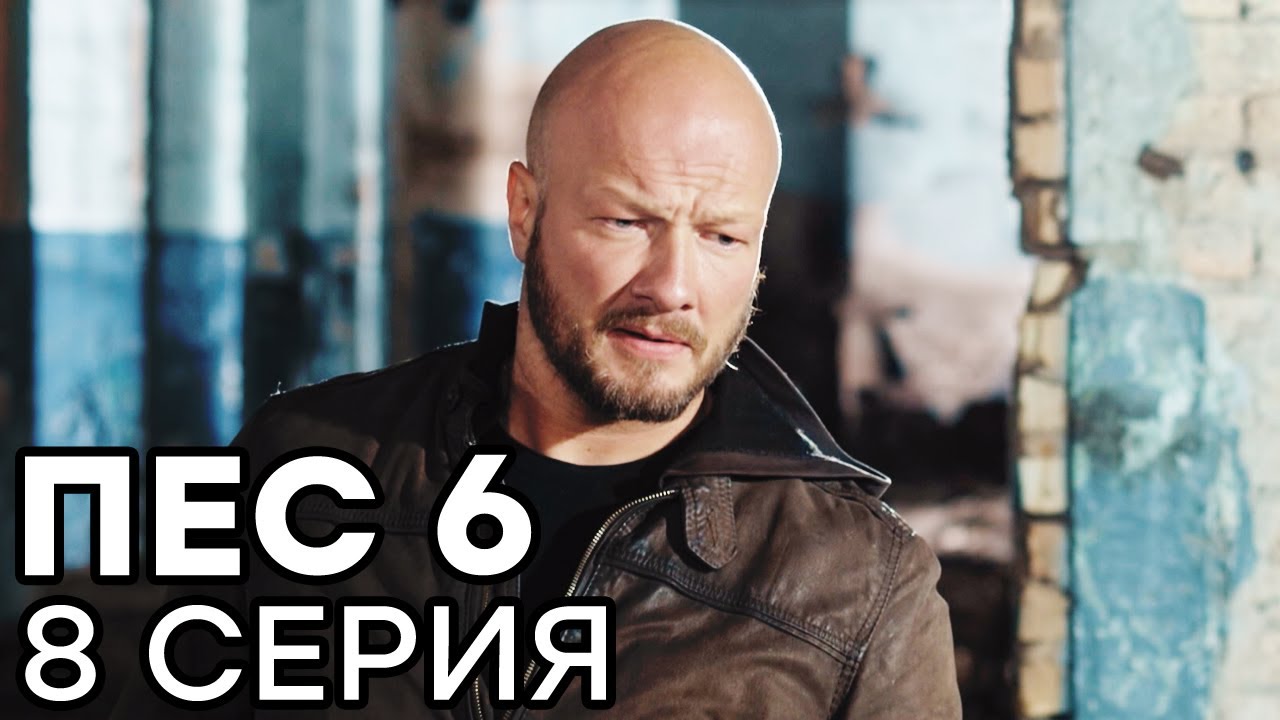 Сериал ПЕС 6 - 6 сезон - 8 серия - ВСЕ СЕРИИ смотреть онлайн | СЕРИАЛЫ ICTV