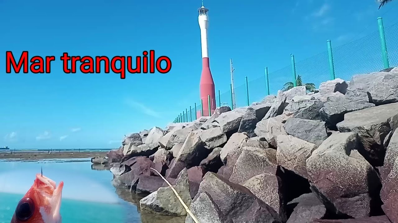 Fui pesca sozinho, confiram os resultados 🎣🎣