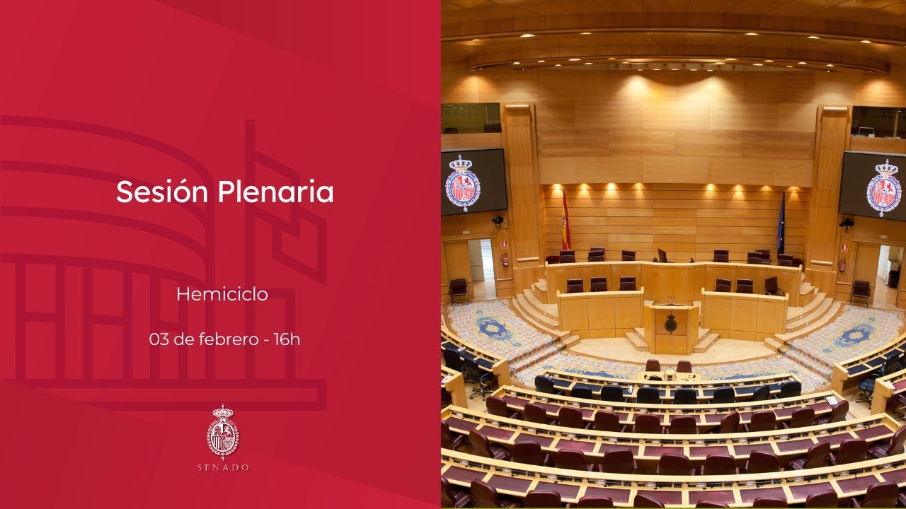 Sesión Plenaria - 03/02/2026 - 16h - sonido sala
