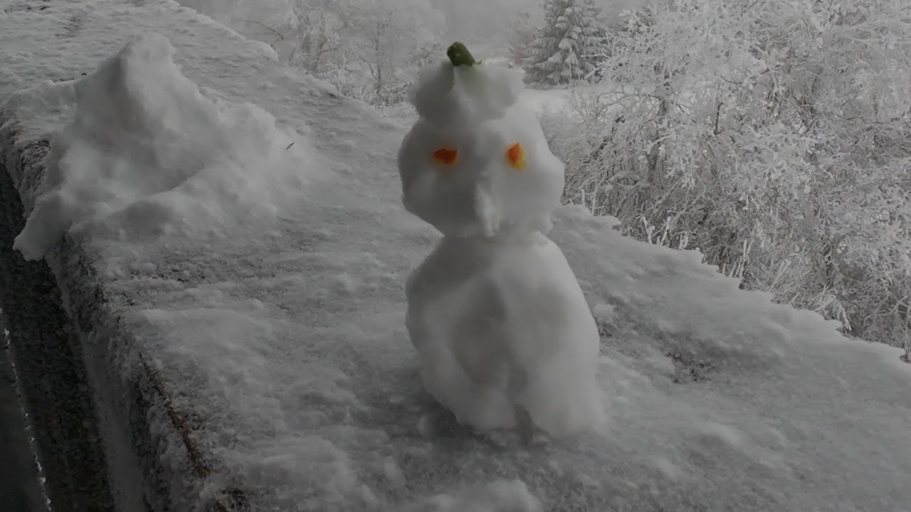 Snow Winterstorm Erbeskopf Germany 2026 #snow #winter