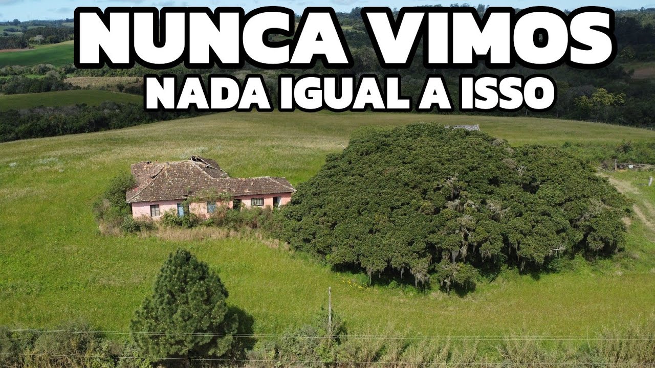 CHAMOU MUITO A ATENÇÃO O QUE VIMOS HOJE NESSA ESCONDIDA CASA ABANDONADA