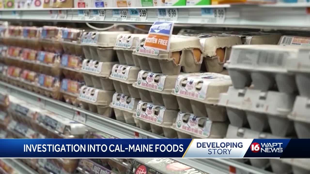 Profits reported by major egg producers raises concerns