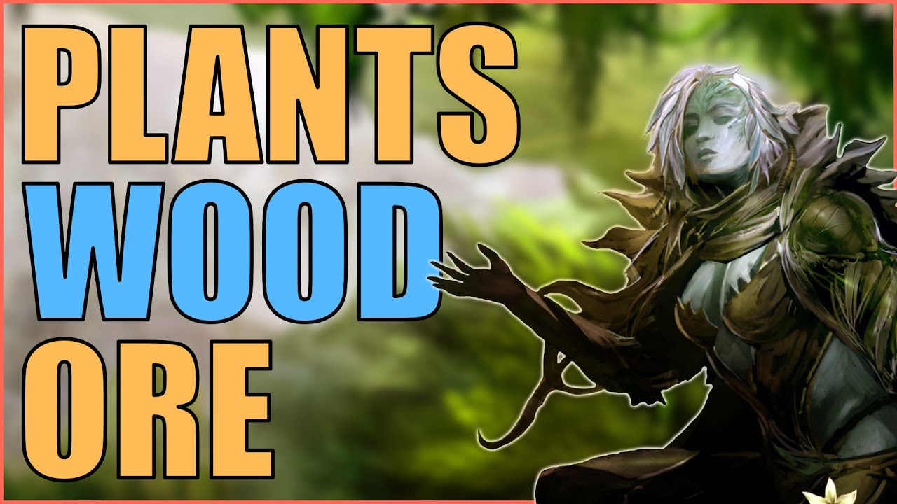 Полное руководство по сбору #guildwars2