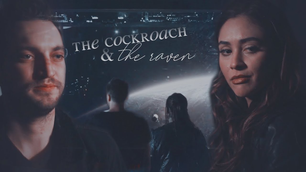 Raven & Murphy | The cockroach & the raven