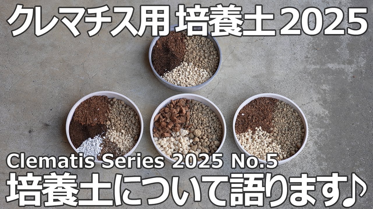 【クレマチスシリーズ 2025 No.5】クレマチスの培養土について2025年最新版 | クレマチスの培養土についての考察