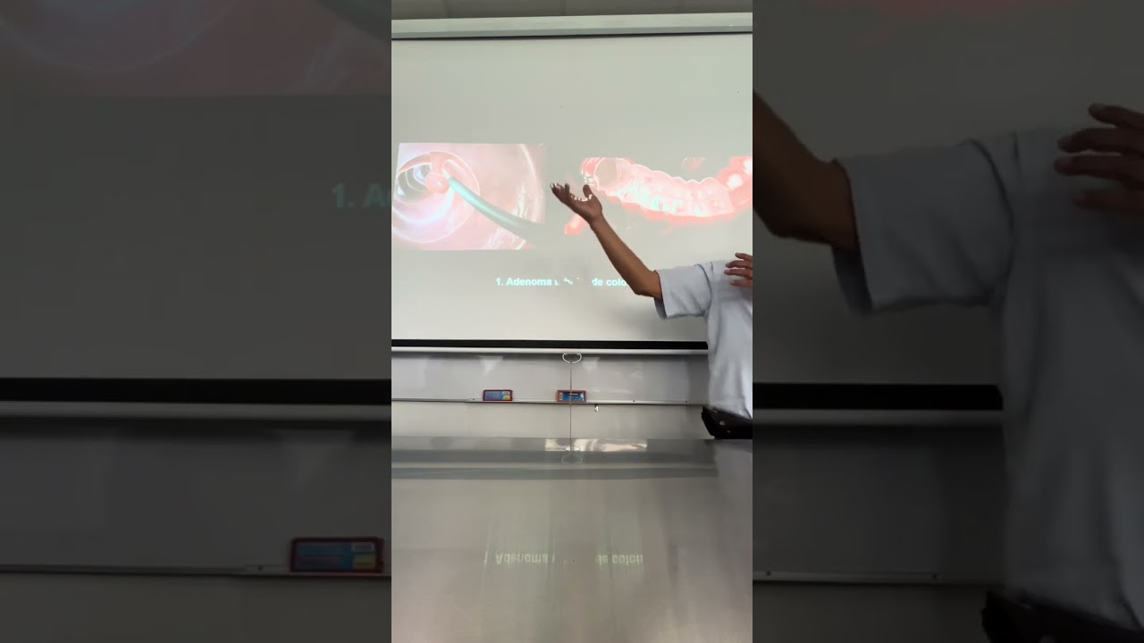 PATO LAB 8