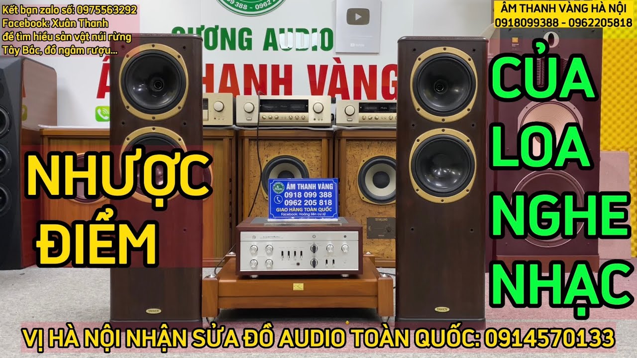 NHƯỢC ĐIỂM CỦA CÁC DÒNG LOA NGHE NHẠC, BIẾT ĐỂ CHỌN ĐƯỢC LOA ĐÚNG Ý