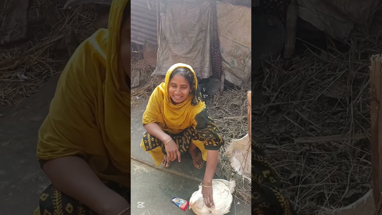 বাড়ির পোষা বয়লার মুরগি কিনতে আসলাম 