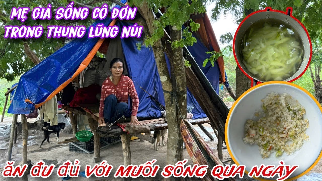 MẸ GIÀ sống CÔ ĐƠN nằm trong thung lũng núi ăn ĐU ĐỦ chấm MUỐI sống qua ngày../483