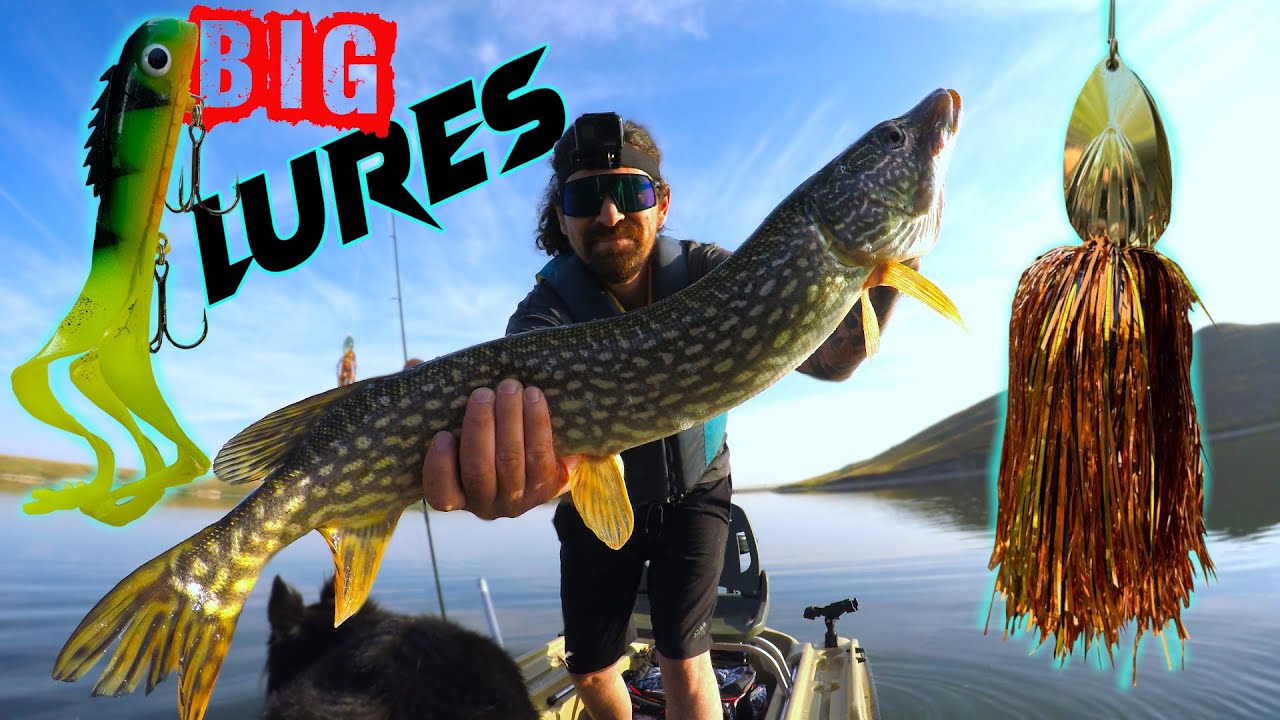 Does Fishing Huge Lures Actually Catch Bigger Fish? Medussa Swim Bait!