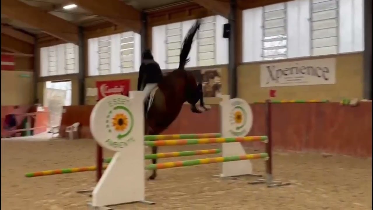 Stage Philippe Le Jeune