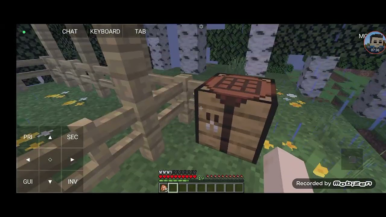 Minecraft şano hayatta kal ma