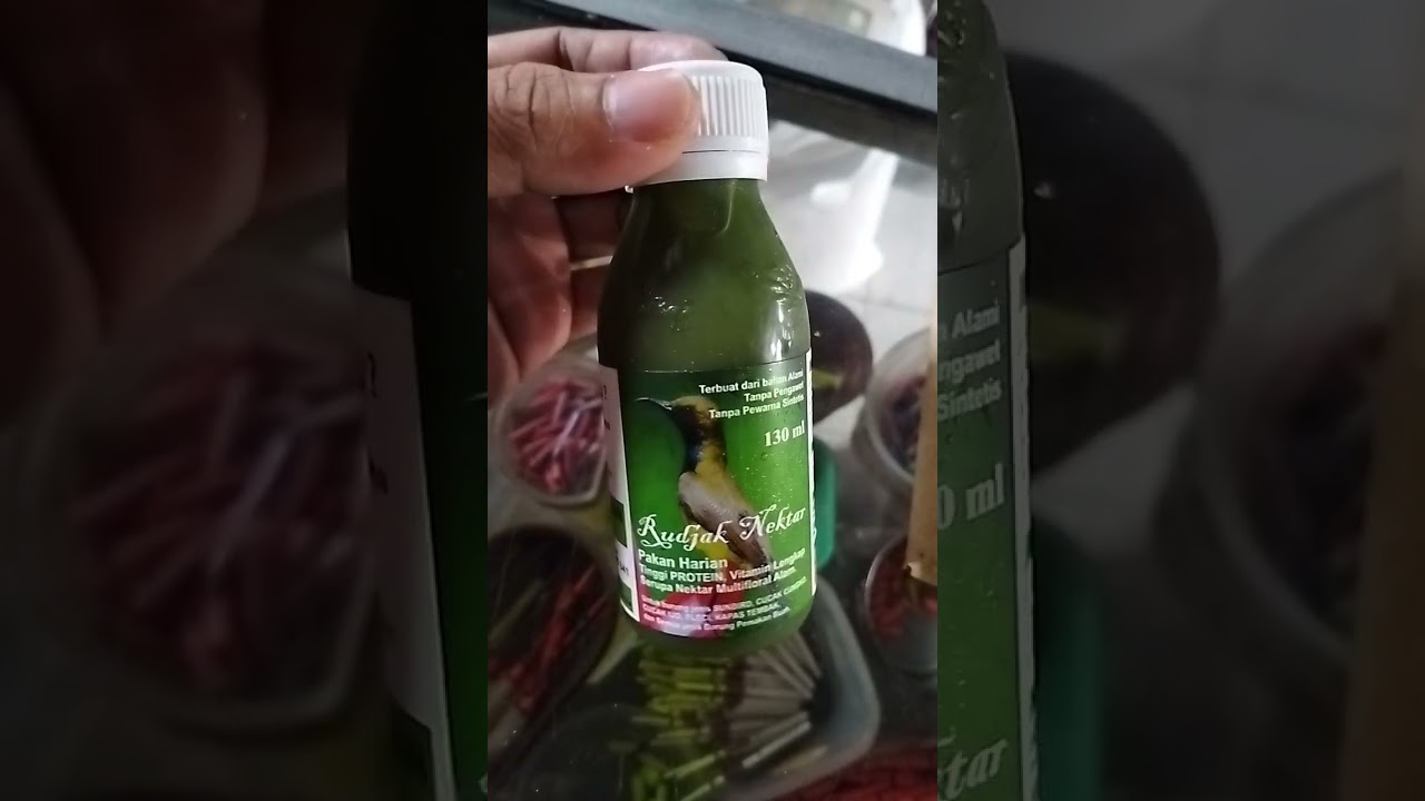 TANPA KROTO BURUNG SEHAT, RAJIN BUNYI(RUDJAK NEKTAR SOLUSINYA) PAKAN BURUNG #shorts#shorts#shorts