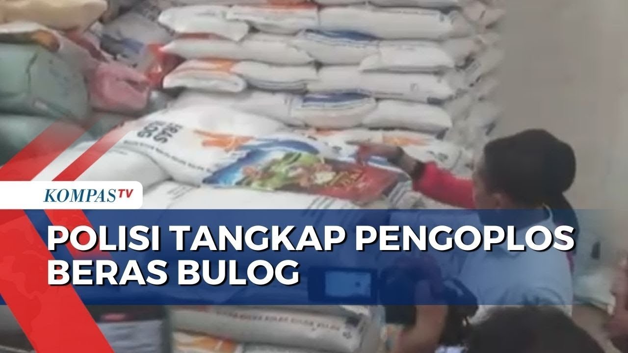 Polisi Tangkap Pengoplos Beras Bulog, Begini Kata Anggota Komisi IV DPR RI