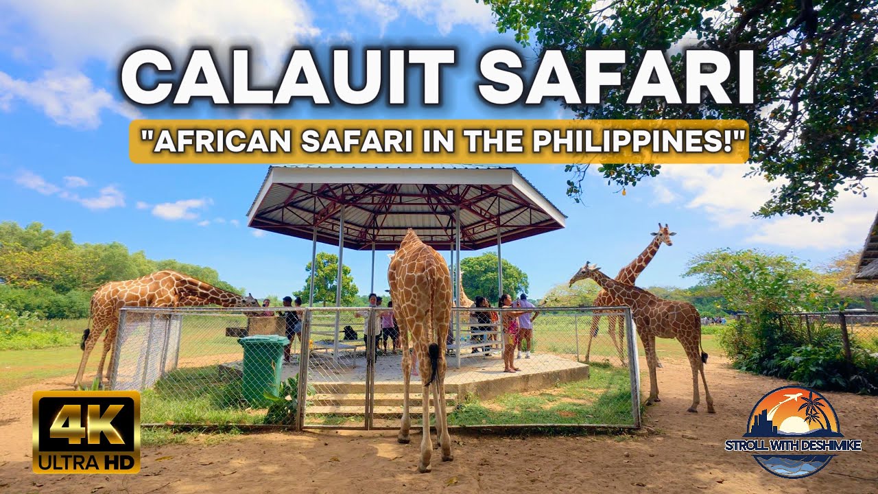 Exploring CALAUIT SAFARI Park: Palawan’s Wild Side