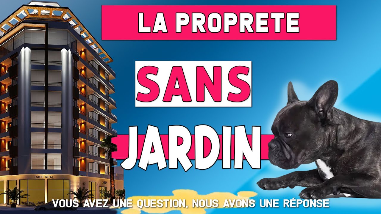 LA PROPRETE DU CHIEN EN APPARTEMENT
