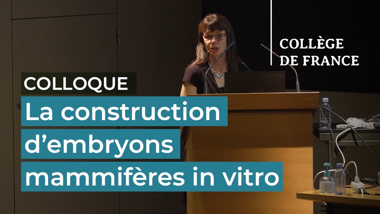 La construction d'embryons mammif&egrave;res in vitro (7) &ndash; Denis Duboule (2021-2022)